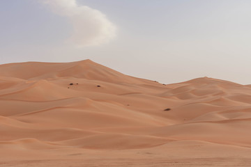  Arabische Sandwüste