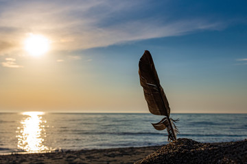 Wall Mural - feather, sun, sea, beach.