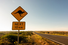  Kangaroo Crossing Road Sign