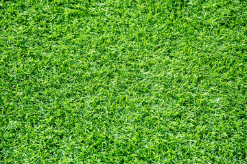 Green glass abstract background football field.