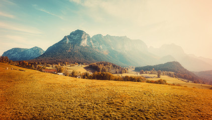 Fototapete - Awesome alpine highlands in sunny day. unsurpassed autumn landscape in Austrian Alps under sunlit. Impressive Athmospheric Scenery at sunset with perfect alpine meadow with fresh grass on Foreground