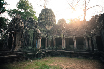 Ankor wat