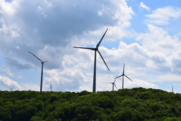 Poster - grüne Hügel mit Windkraftanlage