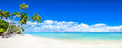 Leinwandbild Motiv Beautiful tropical island with palm trees and beach panorama as background image