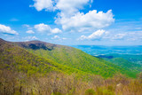 Fototapeta Na drzwi - Endless view of mountains. Beautiful nature in Tennesse. USA. 