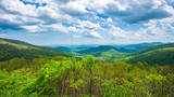 Fototapeta Na drzwi - Endless view of mountains. Beautiful nature in Tennesse. USA. 