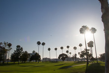 Afternoon Setting Sun Over A Beautiful Southern California Golf Course