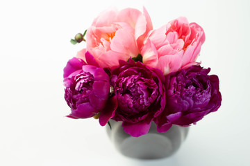 Wall Mural - Light and dark pink peonies in a vase on white background