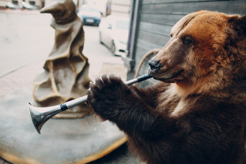 bear brown plays on trumpet