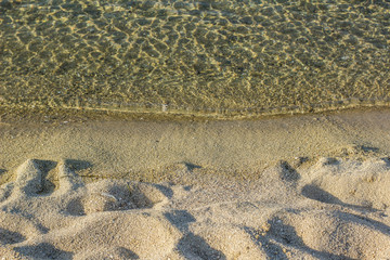 Wall Mural - empty sand beach and water nature simple background wallpaper pattern with empty space for copy or text 