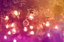 Stylish Toned Photo Of String Lights Hanging On Tree In The Garden At Evening Time