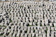 graves in jerusalem