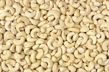Cashews Nut Background