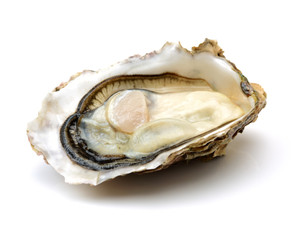 Wall Mural - Fresh opened oyster on white background