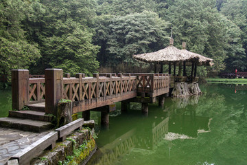 The walk way go to pavilion at Alishan national park area in Taiwan.