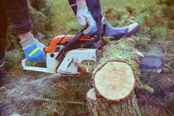 Wall Mural - lumberman with chainsaw cutting wood