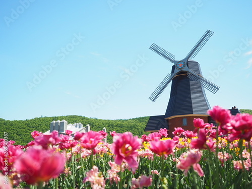 北海道風景 かみゆうべつチューリップ公園 Stock Photo Adobe Stock 北海道風景 かみゆうべつチューリップ公園 Stock Photo Adobe Stock