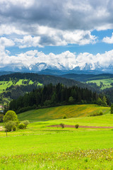 Wall Mural - High Tatra mountains range seen from Pieniny National Park in Poland