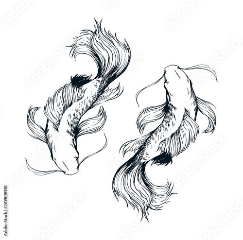 Fotomural Beautiful fishes ink drawing vector
