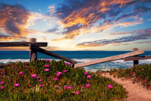 View Of The Ocean With Wildflowers And Wooden Fence
