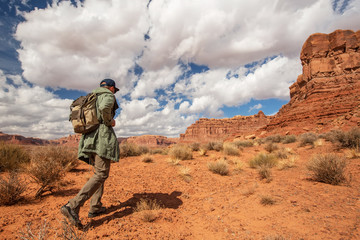 Wall Mural - hiker in valley of gods, usa