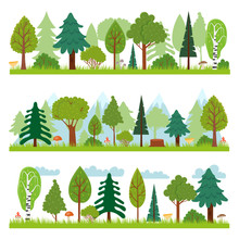 Forest Landscapes. Woodland Nature Trees Panorama, Forests Environment And Pine Tree Vector Illustration