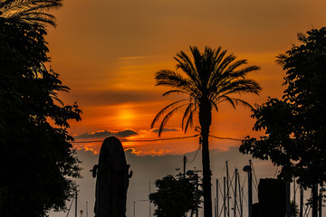 Wall Mural - sunset on the beach