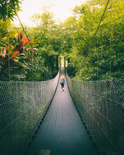 Woman Walking On The Bridge In The Jungle Of Costa Rica.