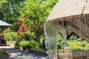 fountain water with green background 