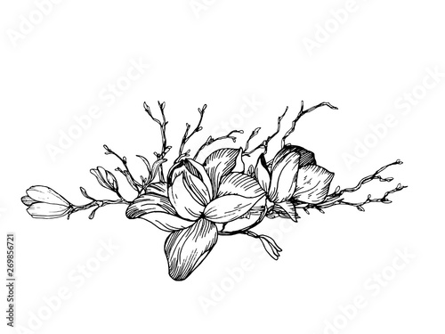 Fotomural Composition in engraving style