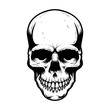 Human skull isolated on white background. Design element for poster, card, banner, t shirt, emblem, sign. Vector illustration
