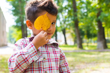 Wall Mural - boy playing with autumn leaf