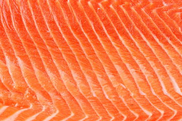 Wall Mural - fresh salmon fillet background