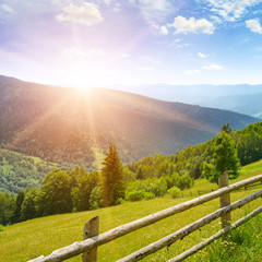 Wall Mural - Dawn in mountains. View of meadow in Carpathians.