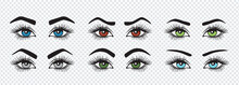 Set Of Eyebrows With Colored Eyes Shapes. Vector