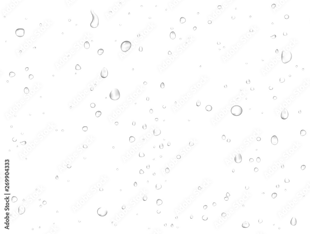 Vector rain water drops on white background. Pure realistic droplets condensed.  - obrazy, fototapety, plakaty 