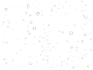 Vector rain water drops on white background. Pure realistic droplets condensed. 