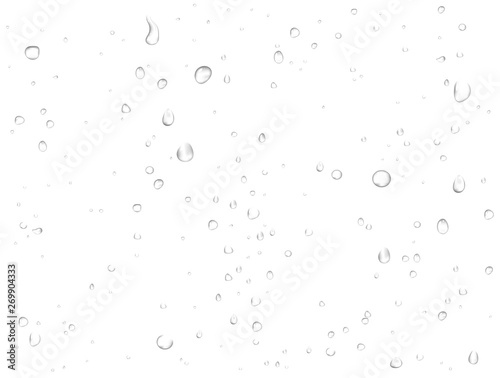 Cuadros en Lienzo Vector rain water drops on white background