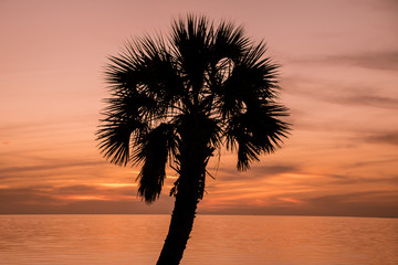 Wall Mural - Sunset on the Gulf of Mexico