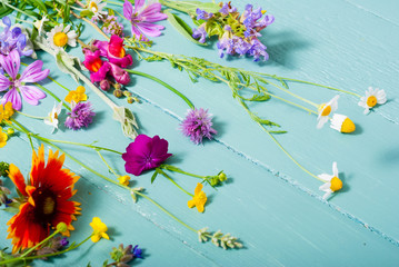 Wall Mural - herbal and wildflowers on blue wooden table background