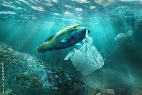 Plastic pollution in ocean environmental problem. Fish can eat plastic bags.