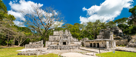 Fototapete - Ancient Mayan Pyramid at Muyil in Quintana Roo, Mexico