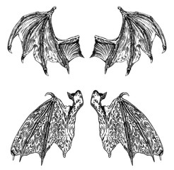 Set of hand drawn vintage etched woodcut fallen angel or vampire detailed wings. Dragon or gargoyle wings. Heraldic wings for tattoo and mascot design. Isolated sketch collection. Vector.