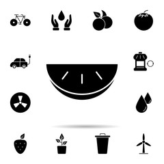 Poster - Fruit, melon, organic icon. Universal set of ecology for website design and development, app development