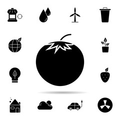 Poster - Fruit, tomato, vegetable icon. Universal set of ecology for website design and development, app development
