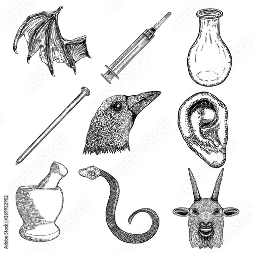 Random Magic Elements Set Hand Drawing For Magician Collection Witchcraft Spell Symbols Mortar Pestle Human Ear Bat Wing Crow Head Snake Goat Glass Bottle Iron Niddle Syringe Vector Buy This Stock