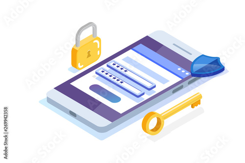 Fotomural Data Access, Password isometric concept