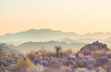 Arizona Landscapes