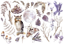 Watercolor Mystical Collection. Owls, Crystal, Butterflies, Mushrooms And Plants.