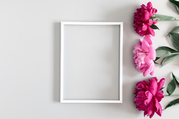 Beautiful flowers composition. Blank frame for text, red peonies flowers on gray background. Flat lay, top view, copy space